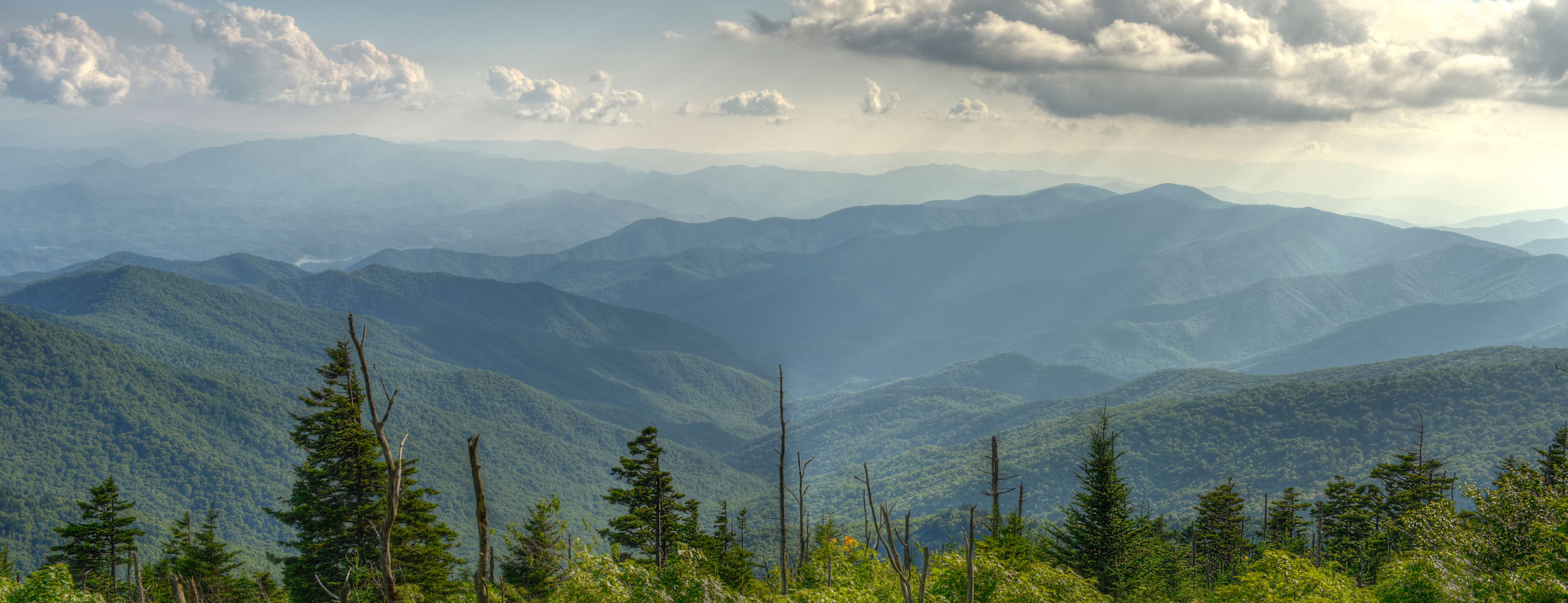 vendor_onboarding_test